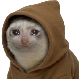 CashCat